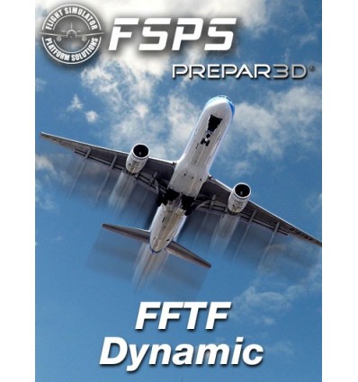 FSPS : FFTF DYNAMIC P3Dv4